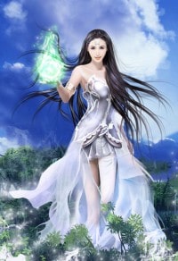 摄政王追妻记